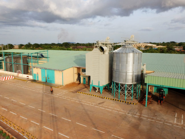 OLVEA - producer organic fairtrade shea butter sustainable responsible burkina faso