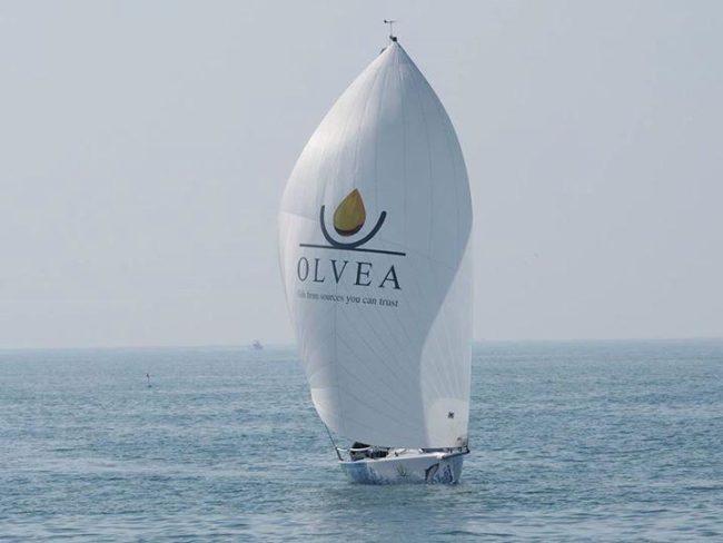 12107245_10207288932882983_9191157635947019355_n