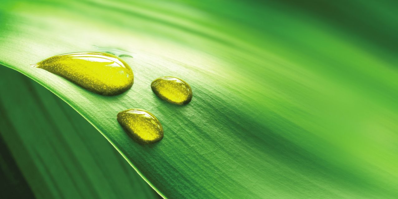 OLVEA Vegetable Oils - Goutte d'huile et fond vert