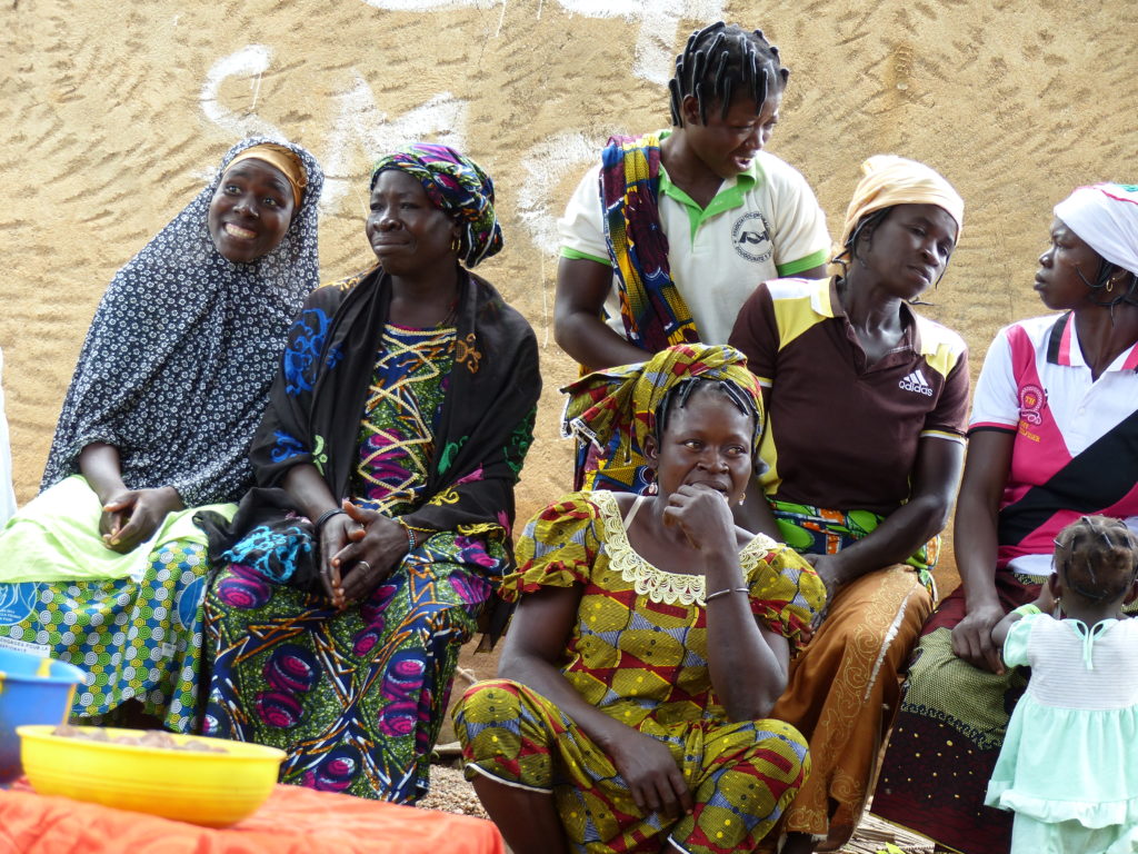 OLVEA - natural shea producer burkina faso fairtrade fairforlife ecocert africa