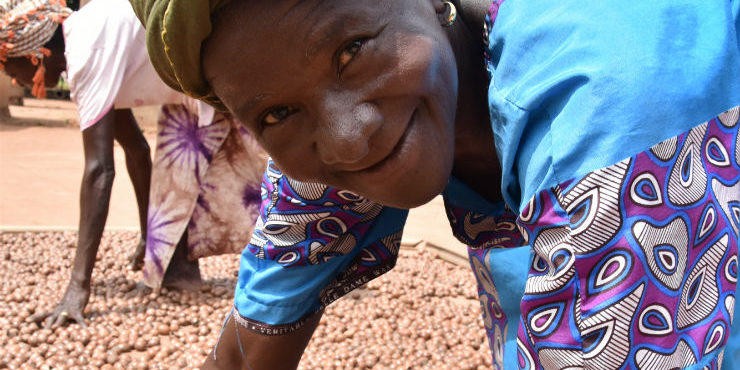 OLVEA - ICCO corporation fair-trade shea supply chain