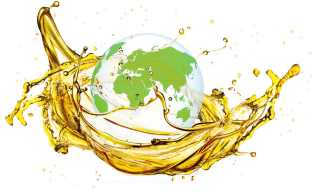 OLVEA - vegetable oils sustainable responsible africa natural products