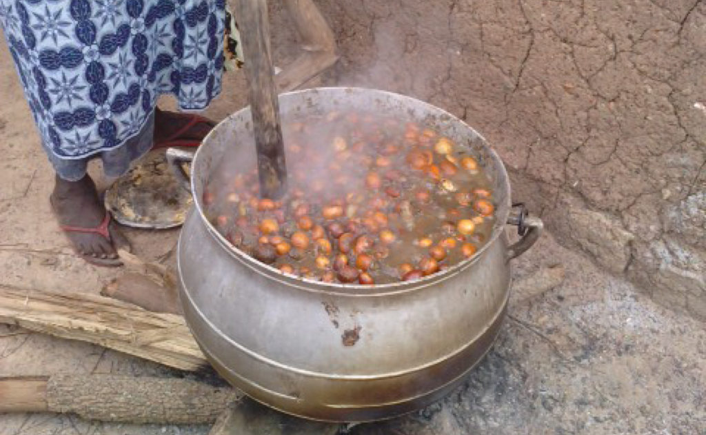 OLVEA - fairtrade organic shea butter producer burkina faso africa