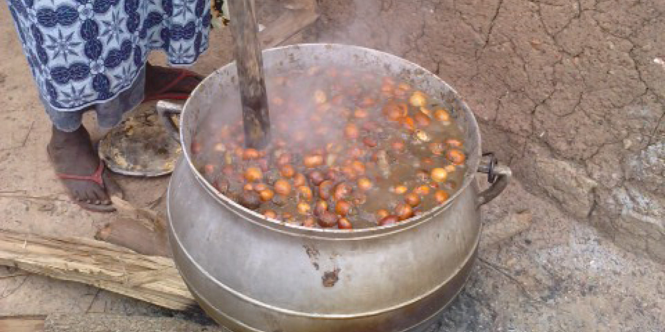 OLVEA - fairtrade organic shea butter producer burkina faso africa