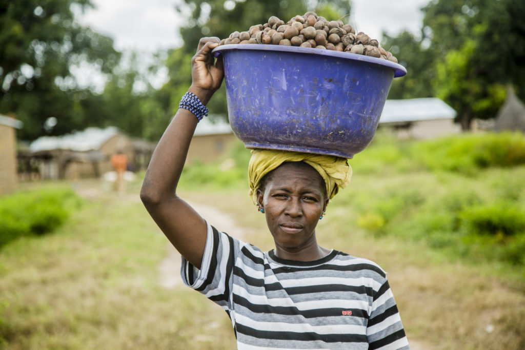 OLVEA - fairtrade organic shea butter supplier burkina faso