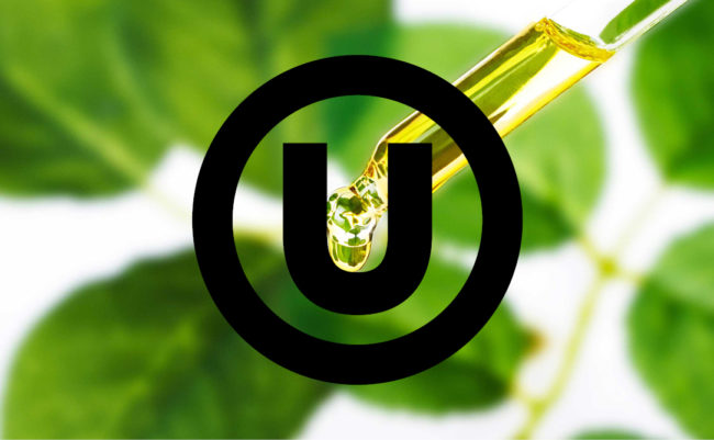 Certification Kosher