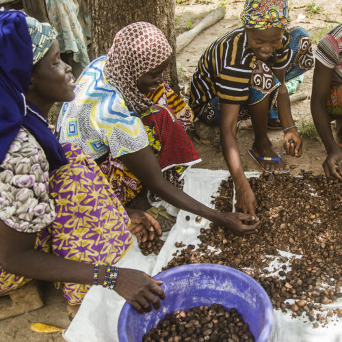 OLVEA - Shea butter sustainable supply chain