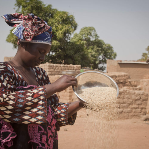 OLVEA - production huile sésame équitable ecocert fairforlife burkina faso