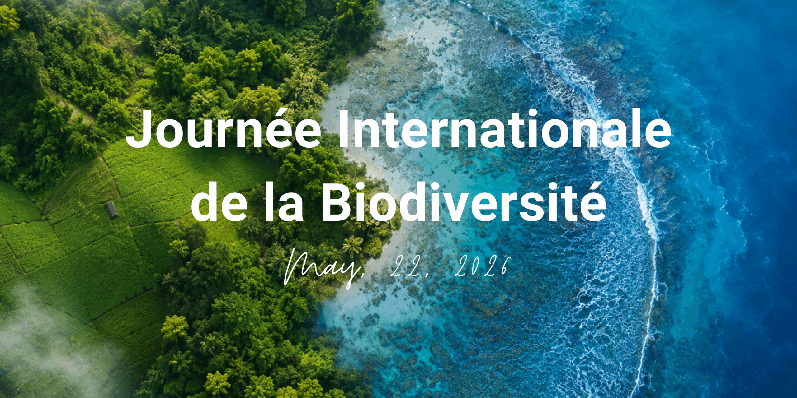 Biodiversité : comment OLVEA agit concrètement à travers ses filières marines et végétales